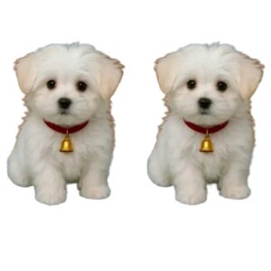Dog soft toys