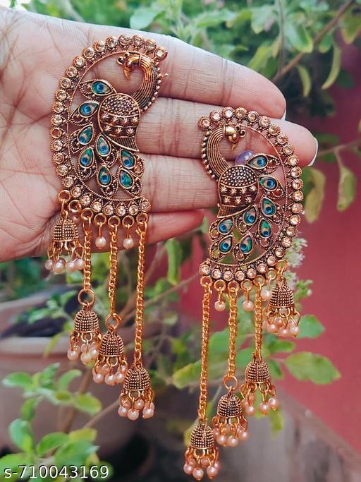 Wonderful Kashmiri earrings